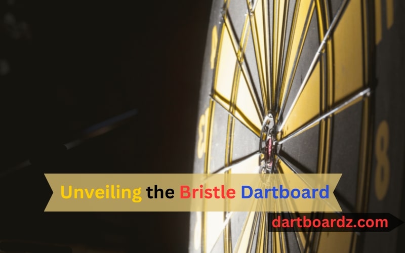 Bristle-dartboard